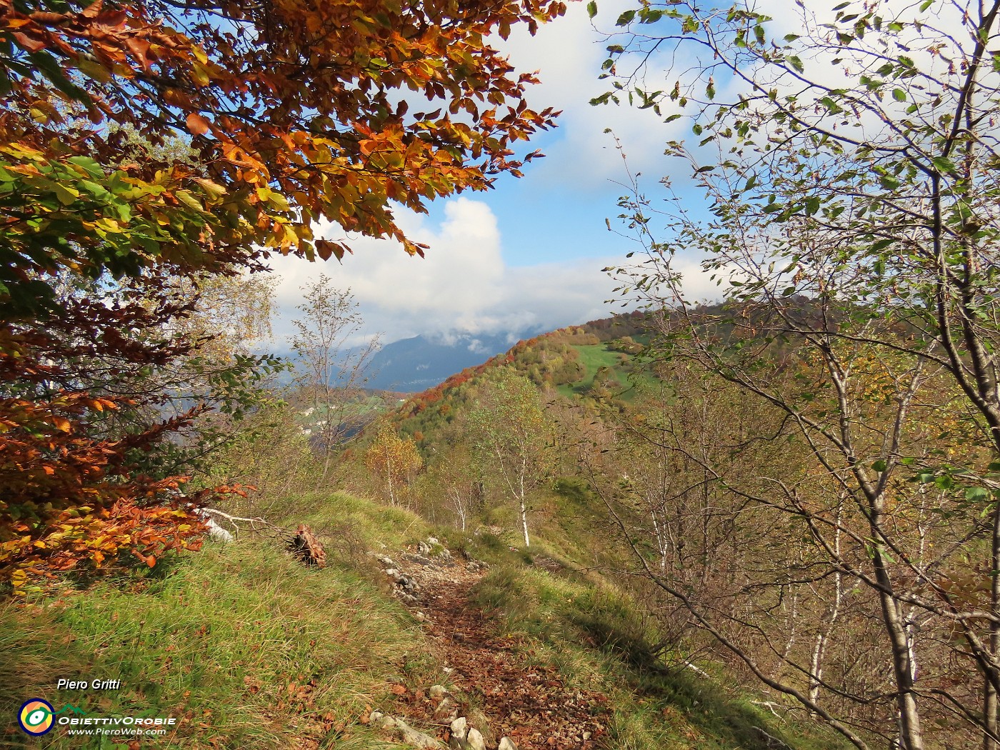 47 Al rientro meridiano smaglianti i caldi colori autunnali.JPG